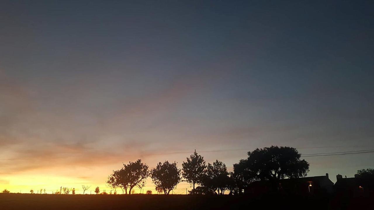 Herdade Reguenguinho Cercal do Alentejo Dış mekan fotoğraf