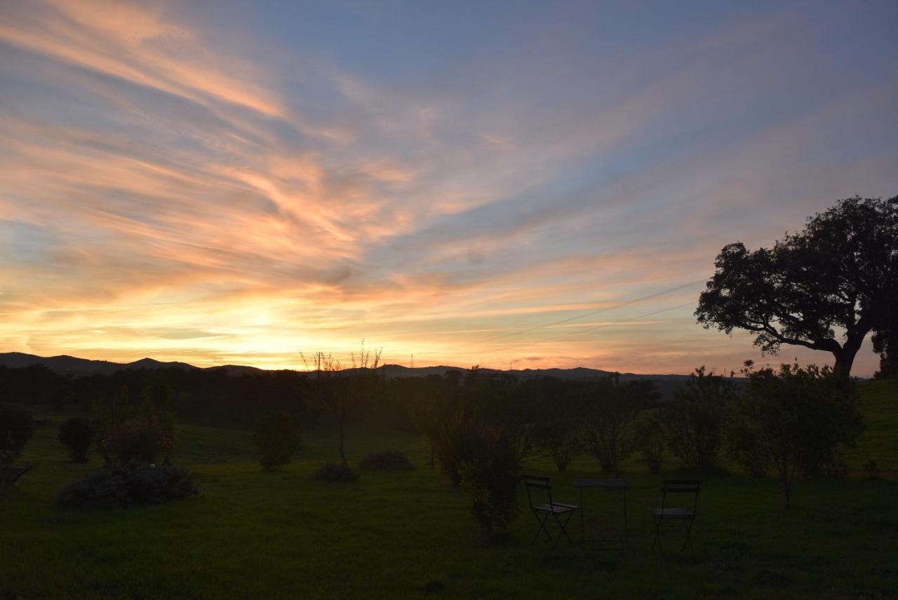 Herdade Reguenguinho Cercal do Alentejo Dış mekan fotoğraf