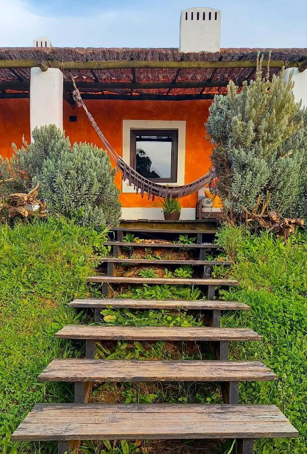 Herdade Reguenguinho Cercal do Alentejo Dış mekan fotoğraf